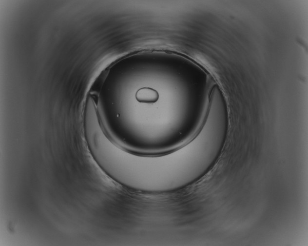 X0000091911392200709191311