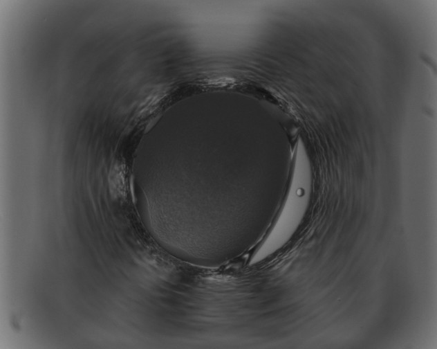 X0000091911394200709191311