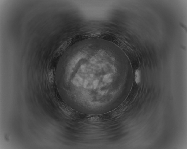 X0000091911395200709191311