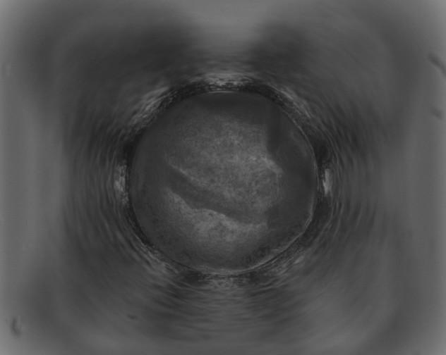 X0000091911396200709191311