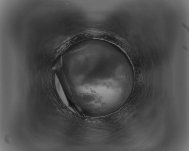 X0000091911397200709191311