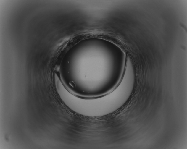 X0000091911398200709191311