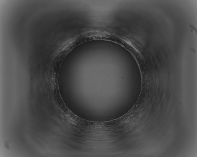 X0000091911399200709191311