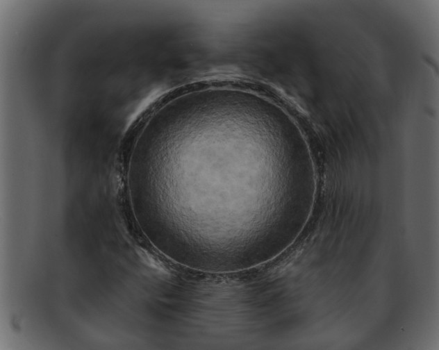 X0000091911400200709191311