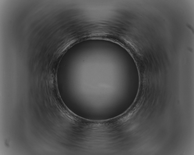 X0000091911401200709191311