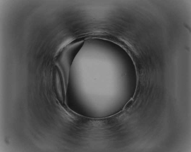 X0000091911402200709191311