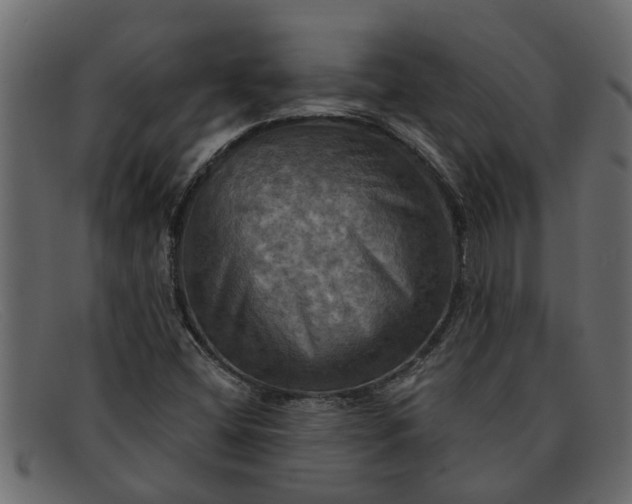 X0000091911404200709191311