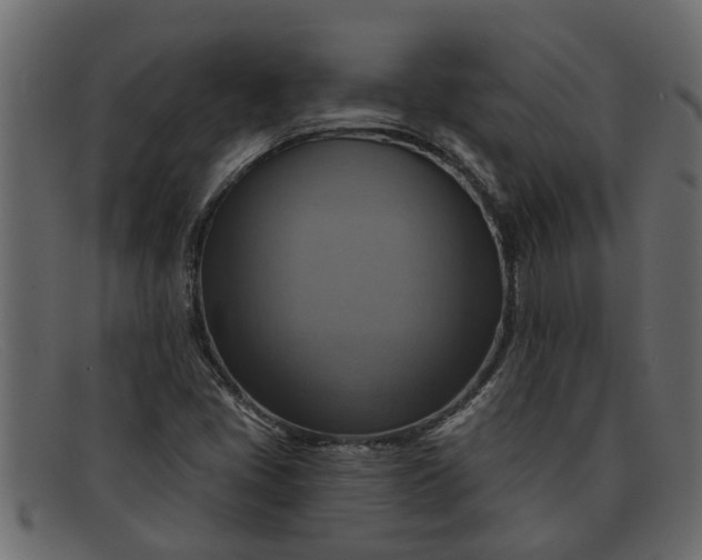 X0000091911405200709191311