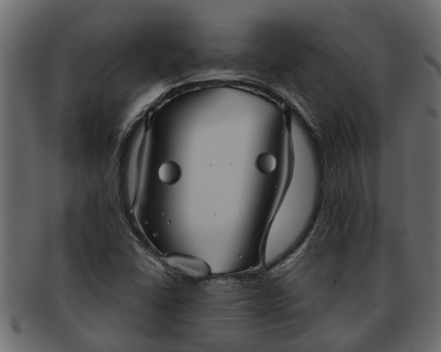 X0000091911406200709191311