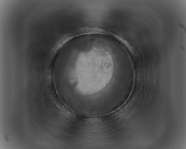 X0000091911407200709191311