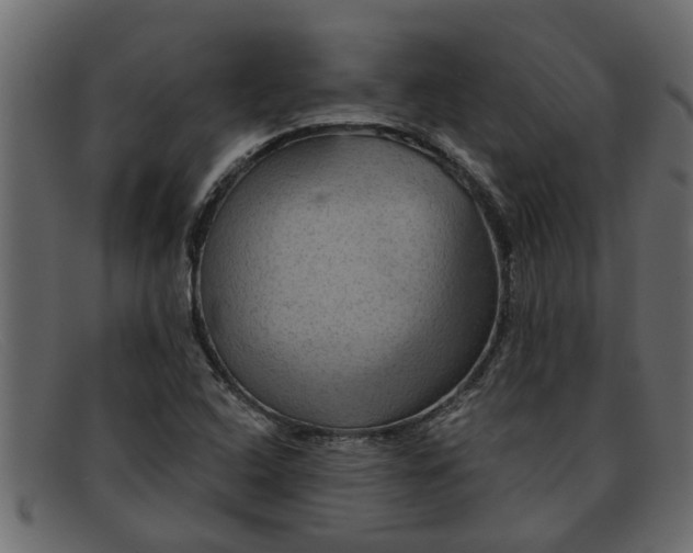 X0000091911408200709191311