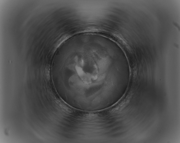 X0000091911409200709191311