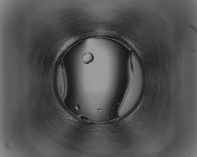 X0000091911410200709191311