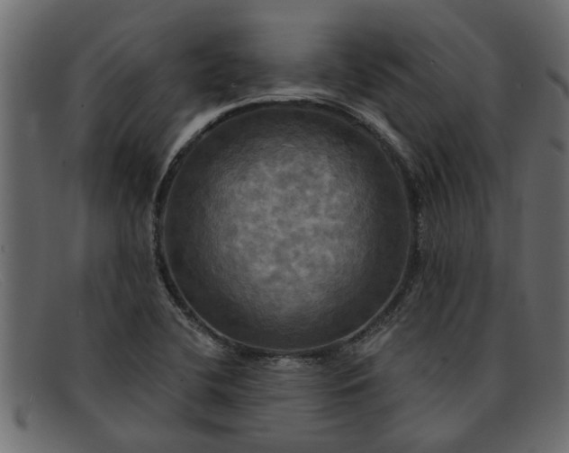 X0000091911412200709191311