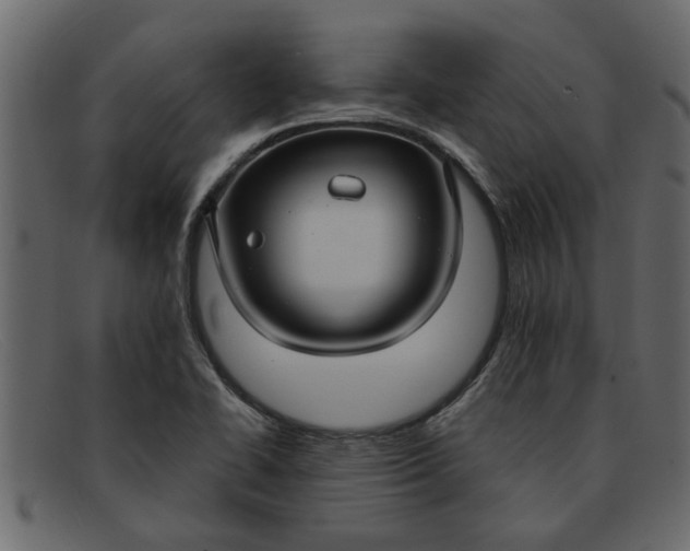 X0000091911414200709191311