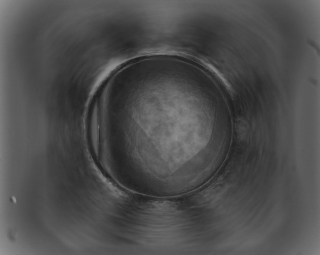 X0000091911416200709191311