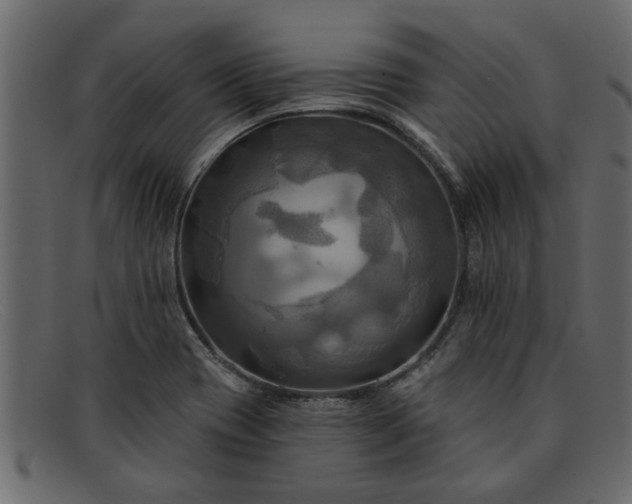 X0000091911417200709191311