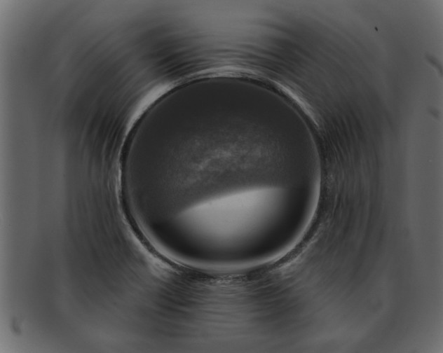 X0000091911418200709191311