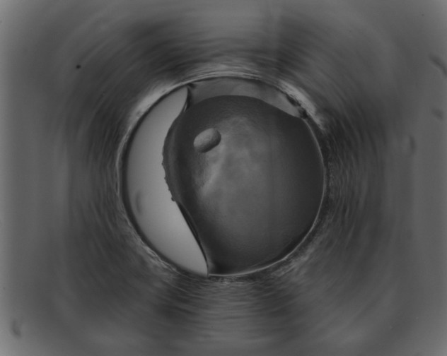 X0000091911419200709191311