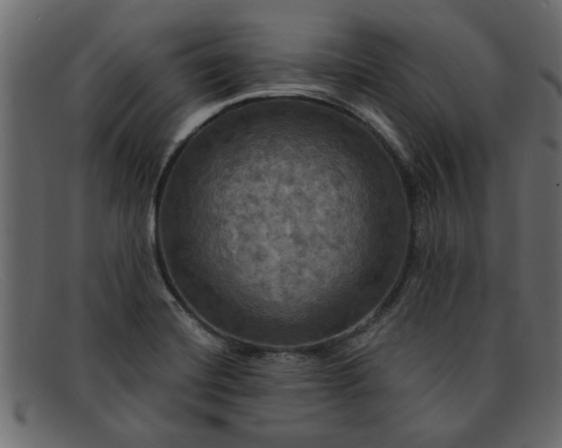 X0000091911420200709191311