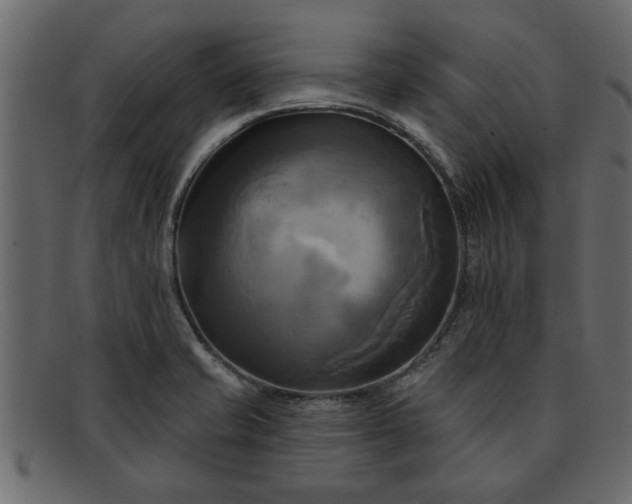 X0000091911421200709191311