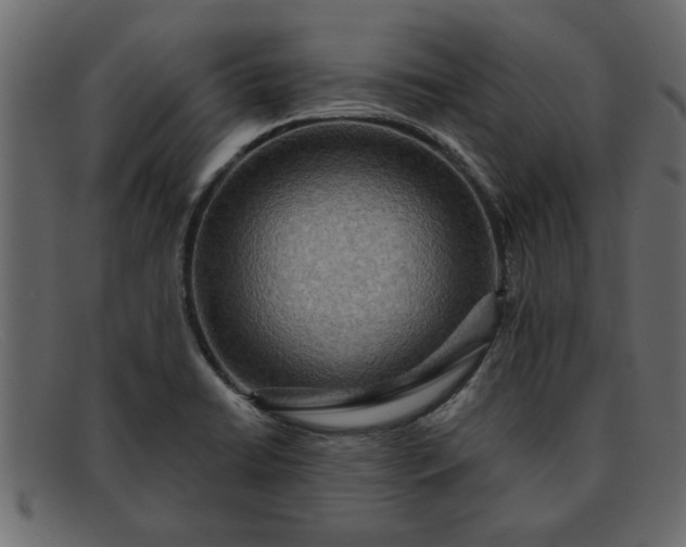 X0000091911422200709191311