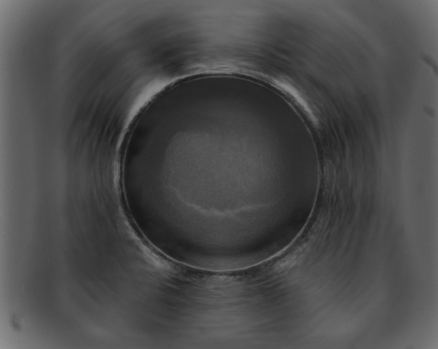 X0000091911424200709191311