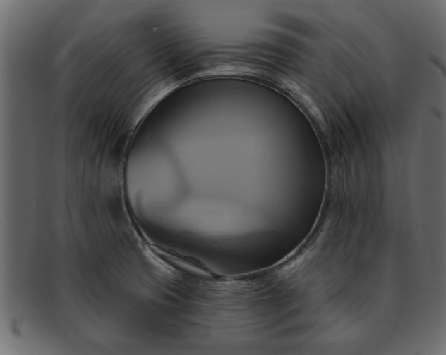 X0000091911425200709191311