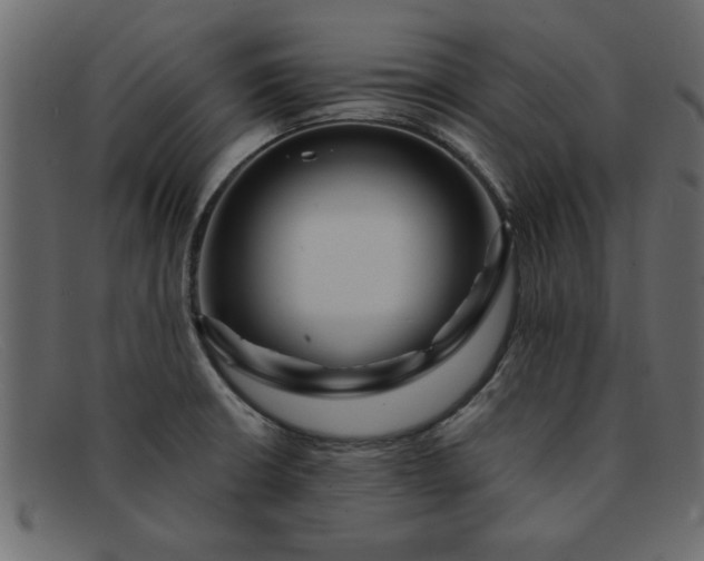 X0000091911426200709191311