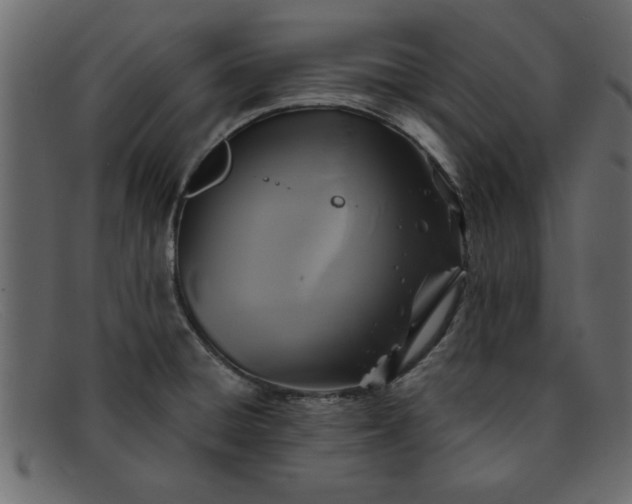 X0000091911428200709191311