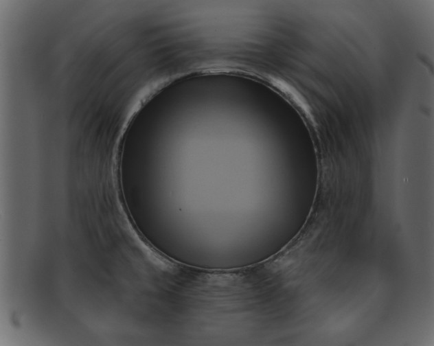 X0000091911429200709191311