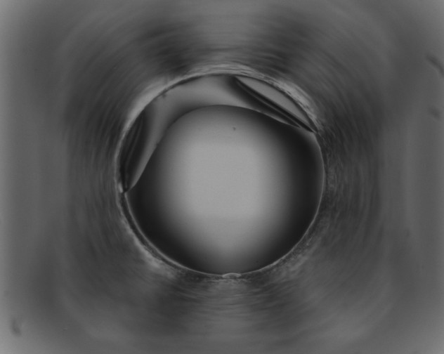 X0000091911430200709191311