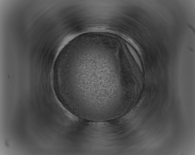 X0000091911432200709191311