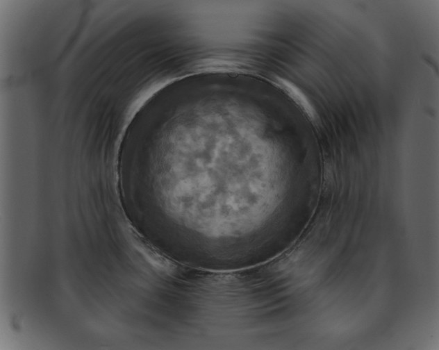 X0000091911435200709191311