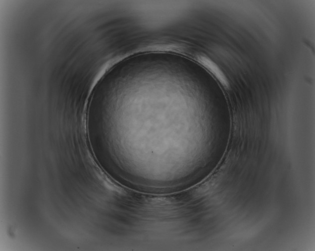 X0000091911436200709191311