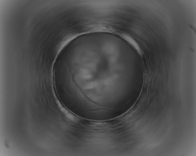 X0000091911439200709191311