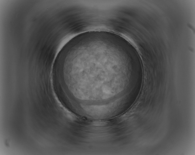 X0000091911440200709191311