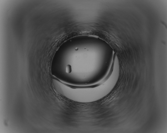 X0000091911441200709191311