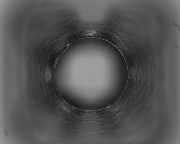 X0000091911442200709191311