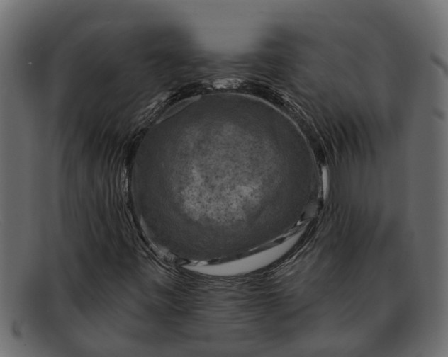 X0000091911443200709191311