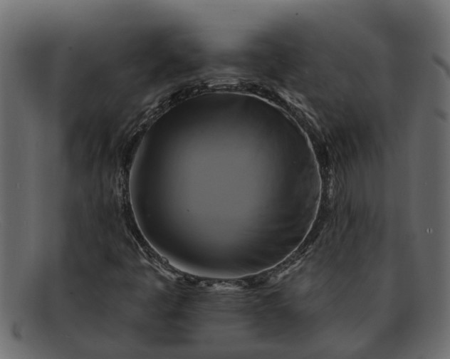 X0000091911445200709191311