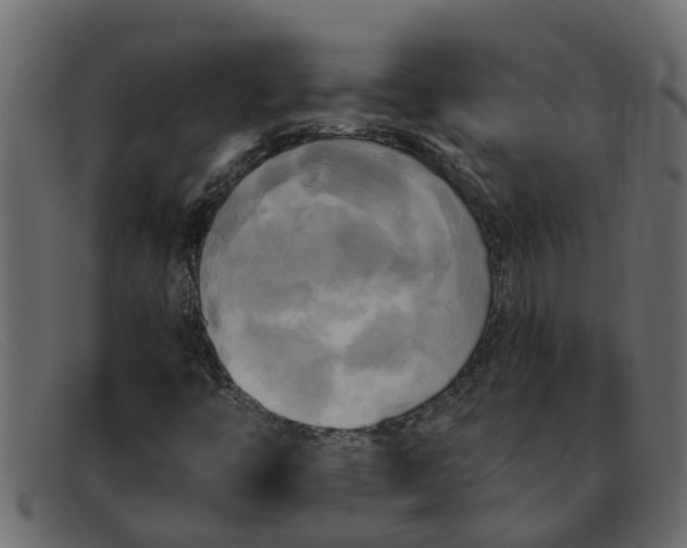 X0000091911446200709191311