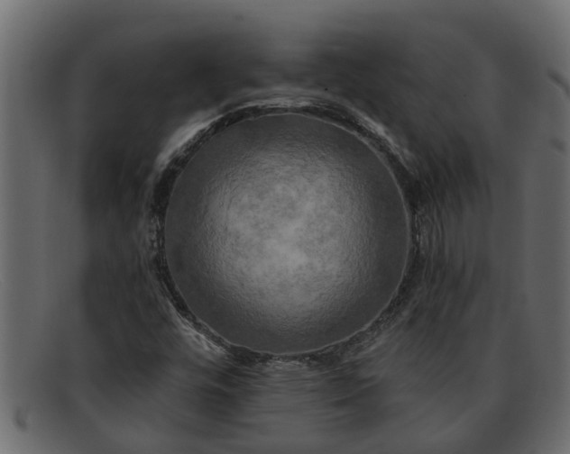 X0000091911448200709191311