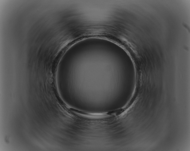 X0000091911449200709191311