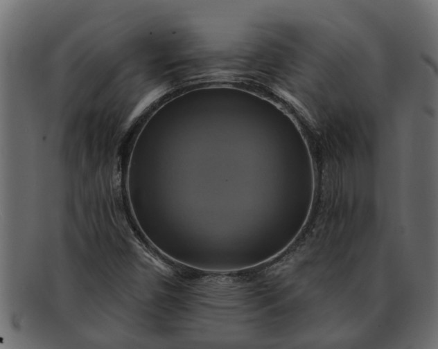 X0000091911450200709191311