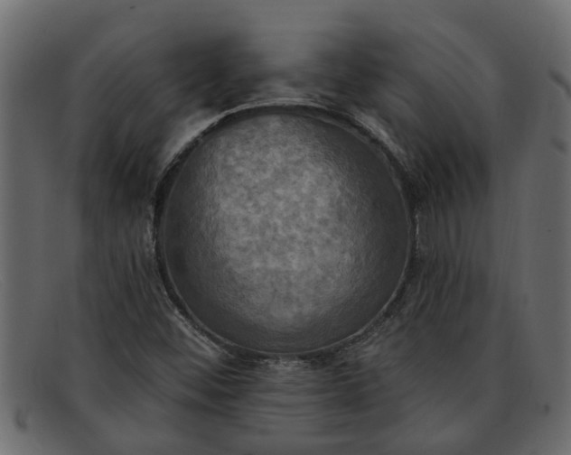 X0000091911452200709191311