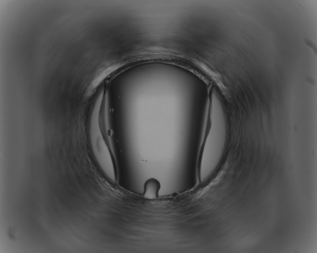 X0000091911453200709191311