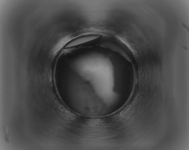 X0000091911455200709191311