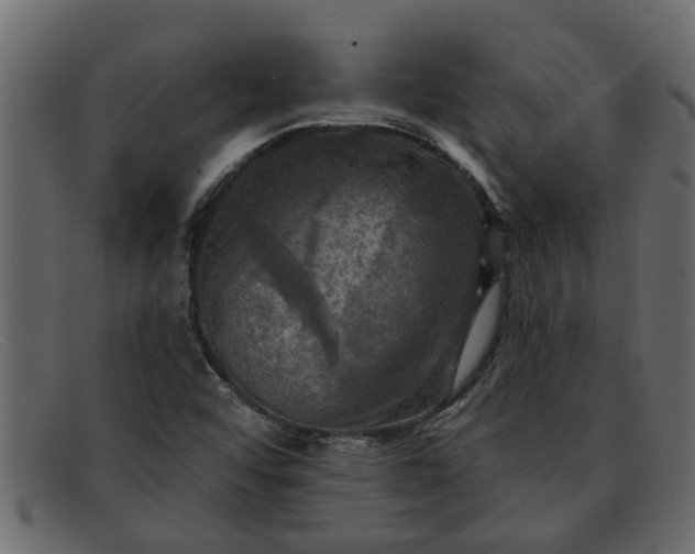 X0000091911456200709191311