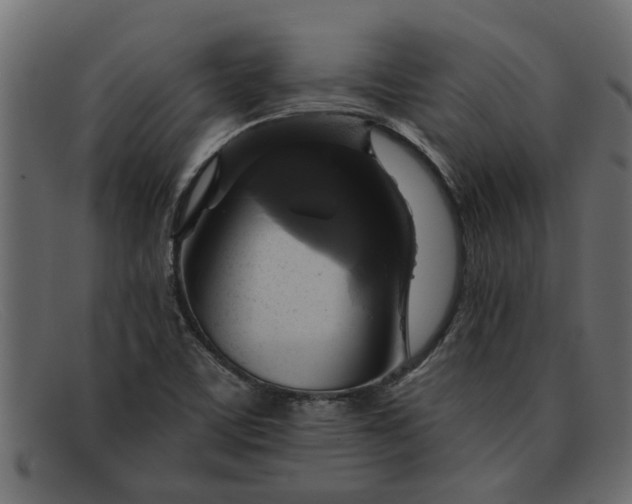 X0000091911459200709191311